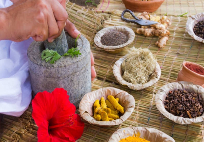 Global Ayurveda Festival From March 12-19